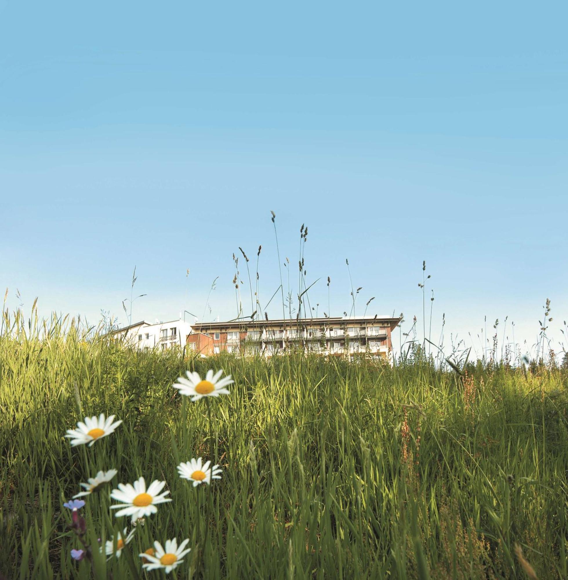 Wellness-& Nationapark Hotel Schliffkopf, Bwsc Baiersbronn Exterior photo